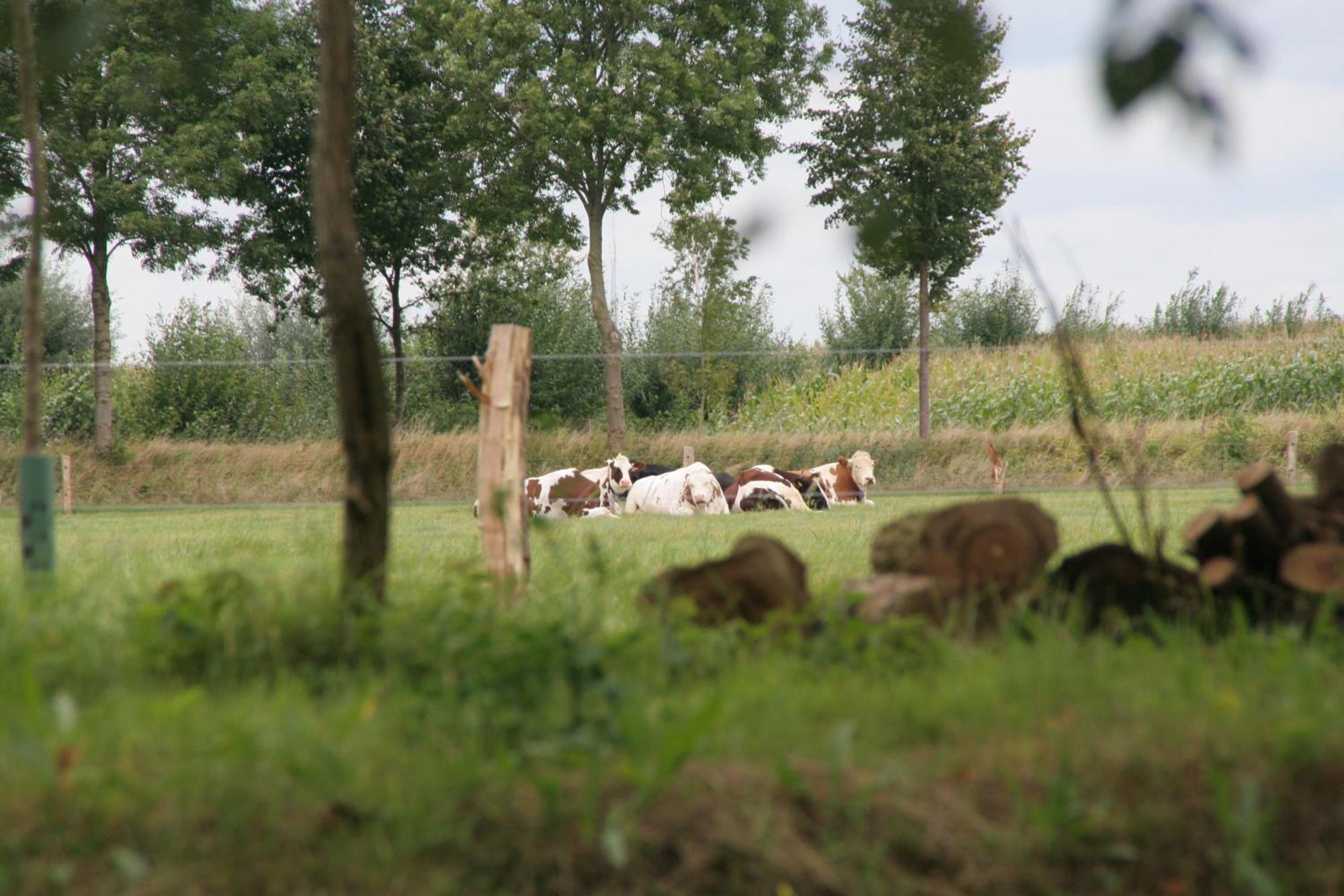 Gastenverblijf Eenink Zelhem Exteriér fotografie