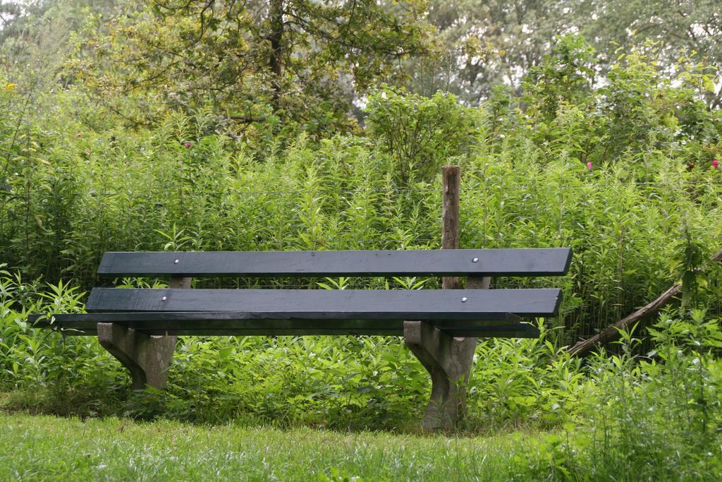 Gastenverblijf Eenink Zelhem Exteriér fotografie
