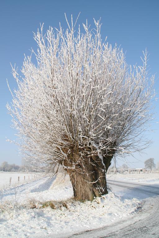 Gastenverblijf Eenink Zelhem Exteriér fotografie