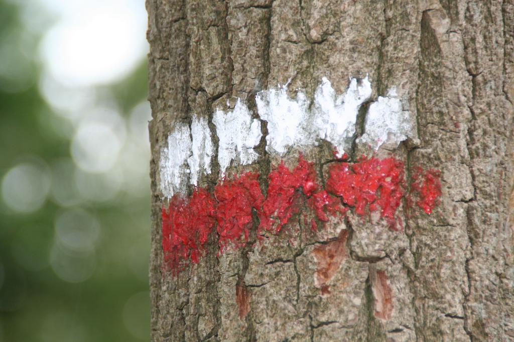 Gastenverblijf Eenink Zelhem Exteriér fotografie